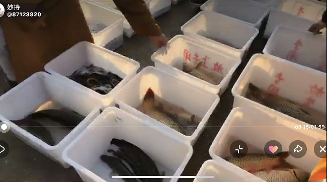 2009130357_副本.jpg